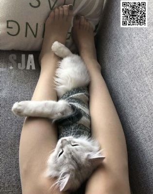 好男人电视剧大全免费_DVD免费在线观看